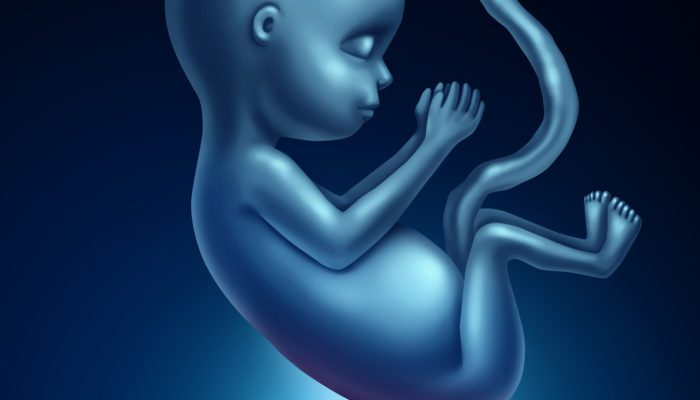 SPİNA BİFİDA’NIN EN SIK GÖRÜLEN NEDENİ FOLİK ASİT EKSİKLİĞİ