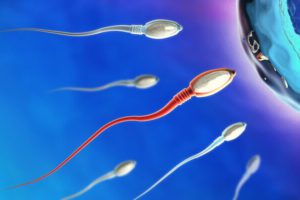 COVID-19 sperm üretimini olumsuz etkileyebilir