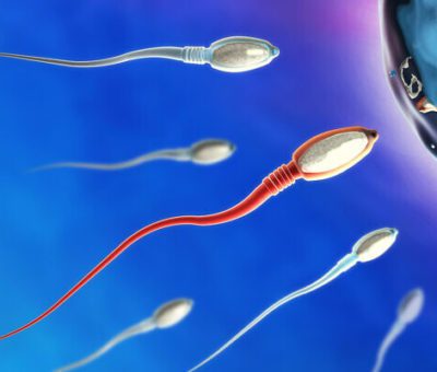 COVID-19 sperm üretimini olumsuz etkileyebilir